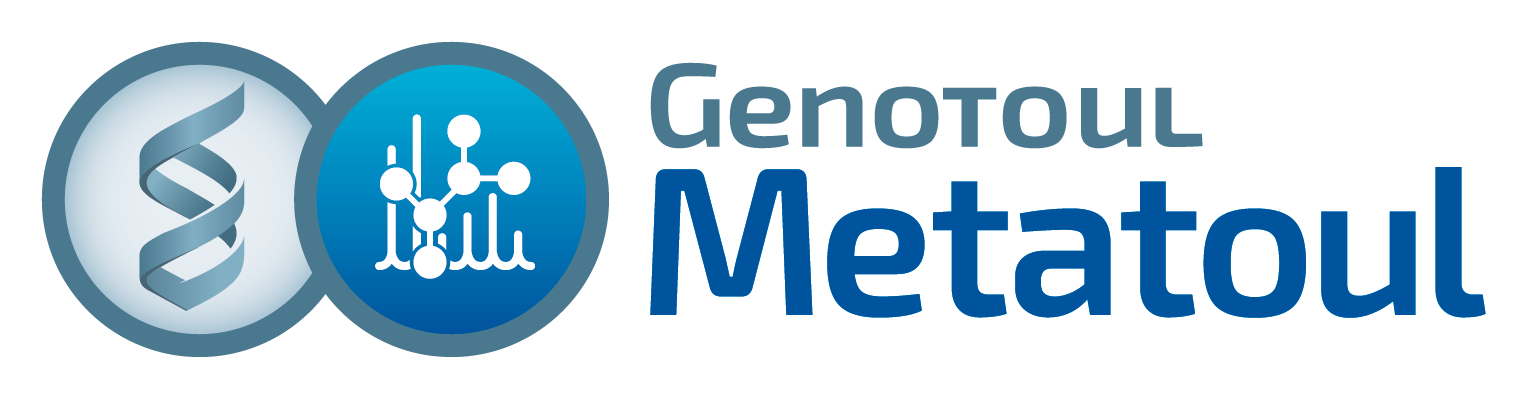Metatoul