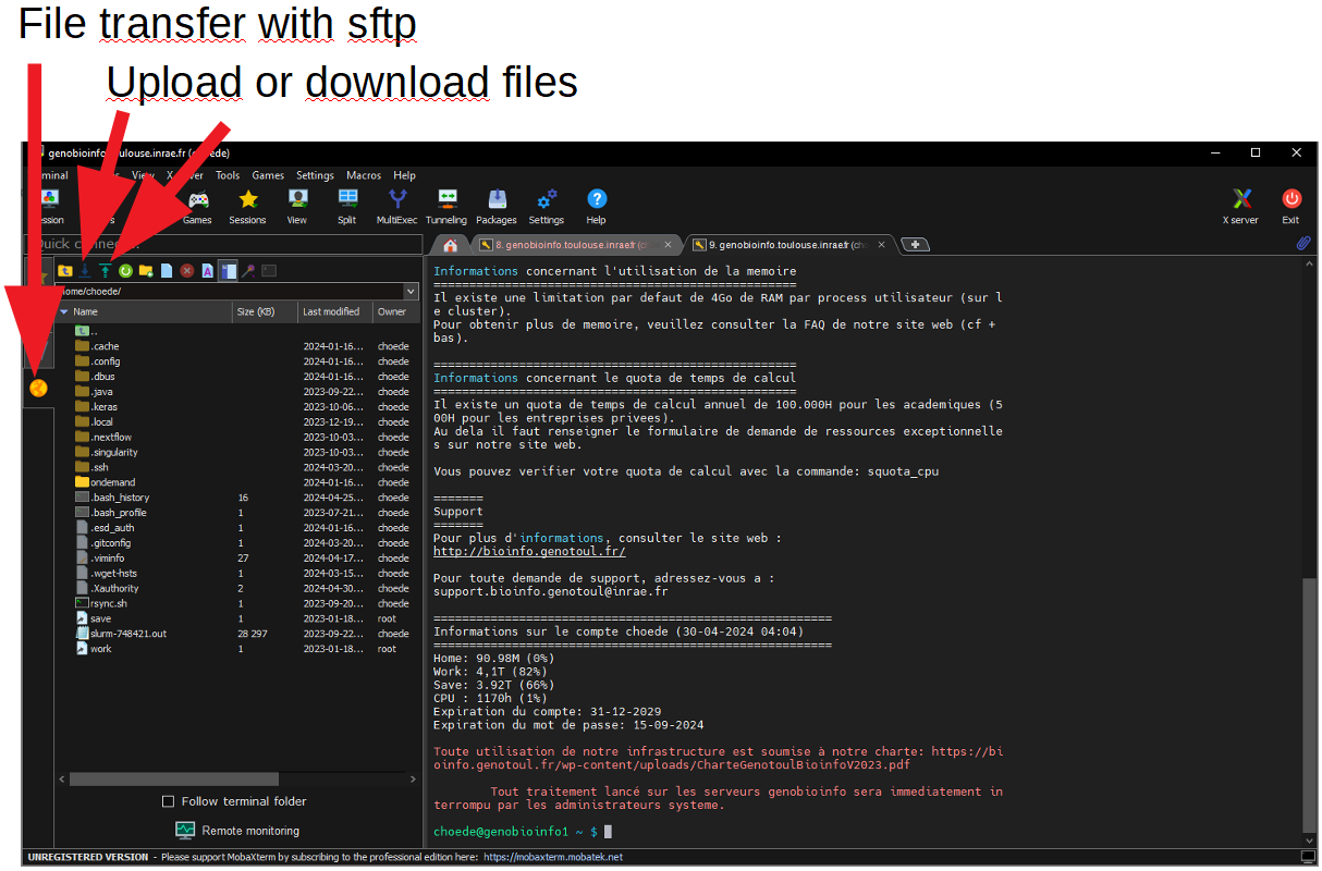 SFTP with MobaXterm