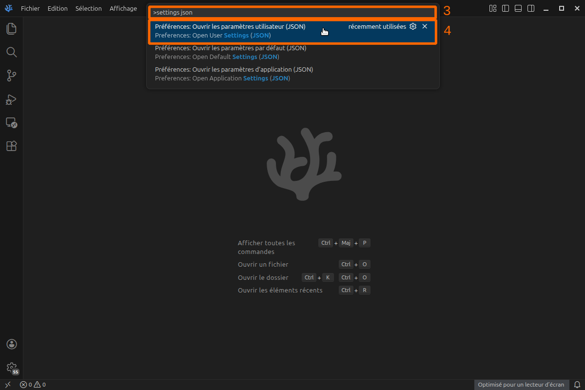 Open settings (json)